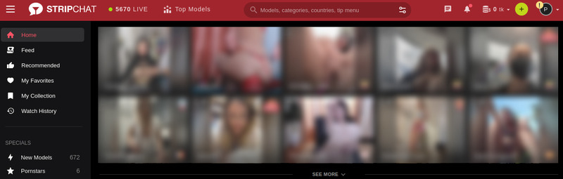 Stripchat Site de came