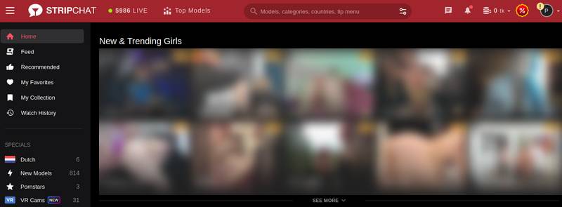 Stripchat Capture d'écran Page principale